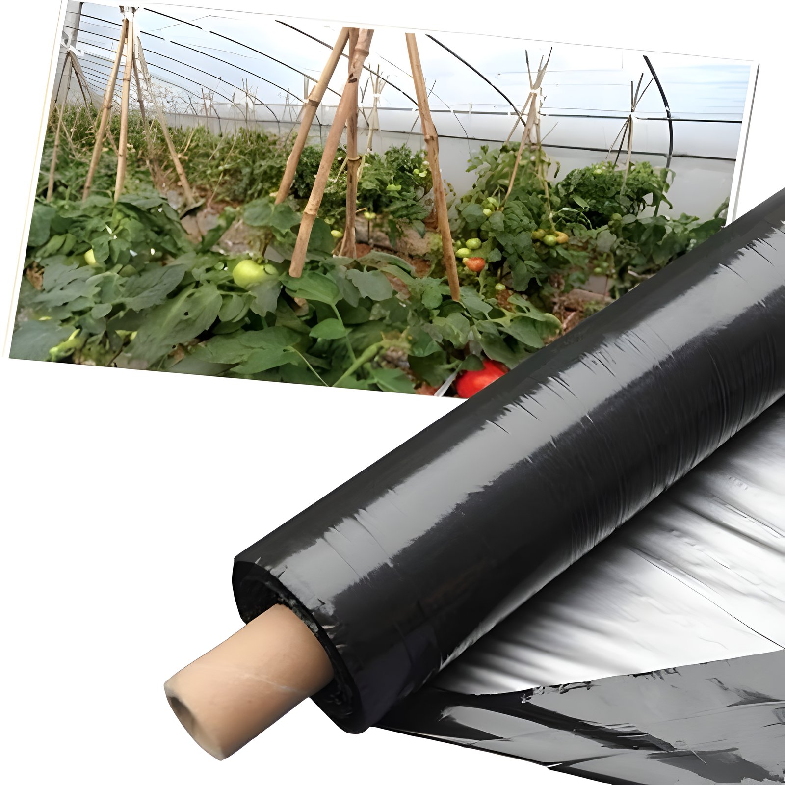 Mulching Sheets - Control weeds and maintain moisture